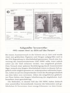 Die Destabilisierung Deutschlands (Buch) -  Stefan Schubert