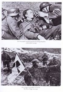 Kaltenegger: Blutende Fronten - Truppenärzte, Sanitäter und Rotkreuzschwestern im Zweiten Weltkrieg (Buch)