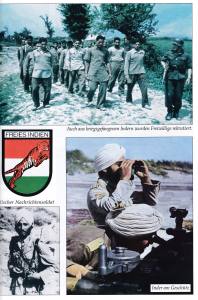 Michaelis: Die Grenadier-Divisionender Waffen-SS (Buch)