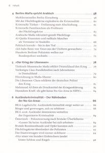 No-Go-Areas (Buch) Wie der Staat vor der Ausländerkriminalität kapituliert