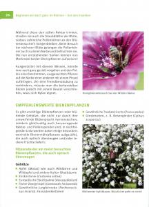 Nützlinge im Garten fördern (Buch) Schmetterlinge, Wildbienen, Singvögel & Co.