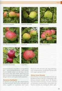 Ur-Obst (Buch) Wurzelecht und pflegeleicht 200 Sorten